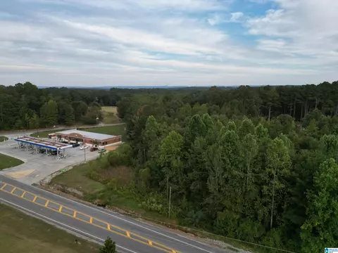 00 Highway 160 #TRACT 1 EDWARDS SUBDIVISION, Hayden, AL 35079