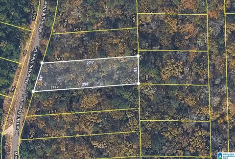 lot16 5 Mountain View Ln #5, Vance, AL 35490