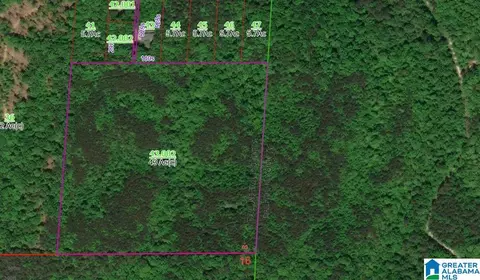 0 Carolyn Ln #0, Oxford, AL 36268