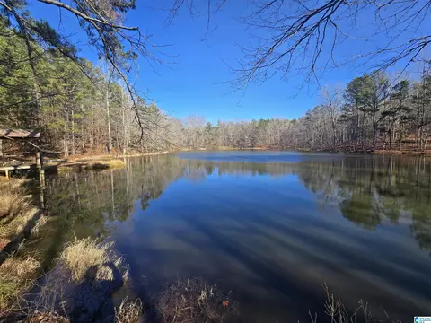 983 County Road 59, Rockford, AL 35136