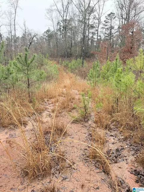 0000 County Road 472 #ACREAGE, Clanton, AL 35045