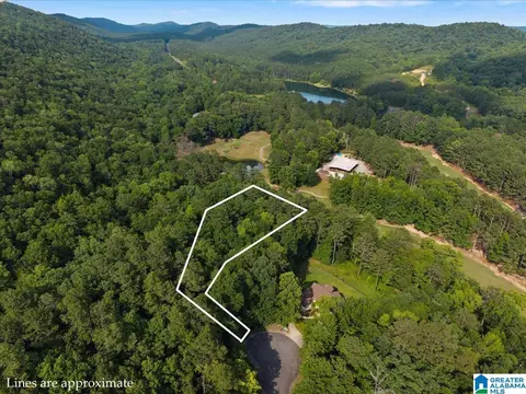 0 Bellerive Cir #1, Oneonta, AL 35121