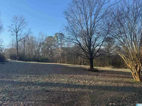 6817 Burchfield Loop, Mc Calla, AL 35111 photo 4