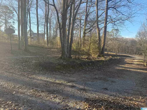 6817 Burchfield Loop, Mc Calla, AL 35111 photo 19