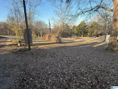 6817 Burchfield Loop, Mc Calla, AL 35111 photo 18