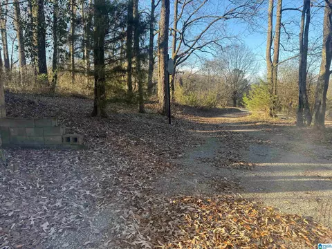 6817 Burchfield Loop, Mc Calla, AL 35111 photo 17