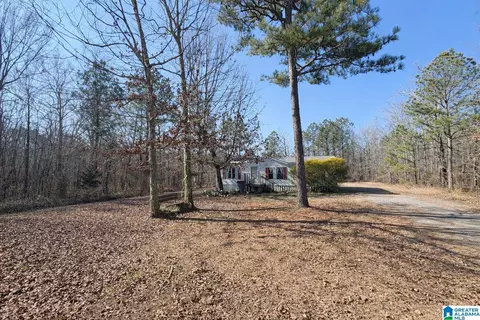 4920 Deer Run Rd, Cedar Bluff, AL 35959 photo 10