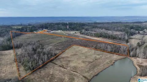 0 County Road 42 Apt 2652- Acres #26.52+/- ACRES, Steele, AL 35987