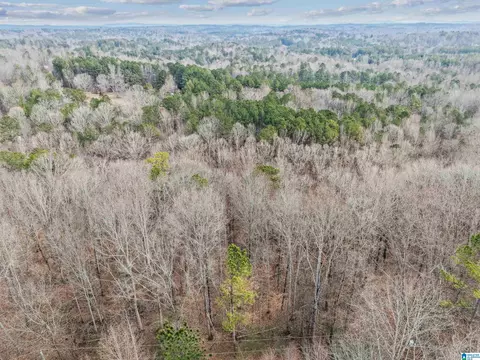 000 Hillview Dr #LOT 59 AND 60, Pell City, AL 35125