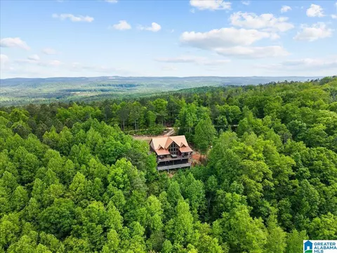 1190 Skyway Dr, Lineville, AL 36266