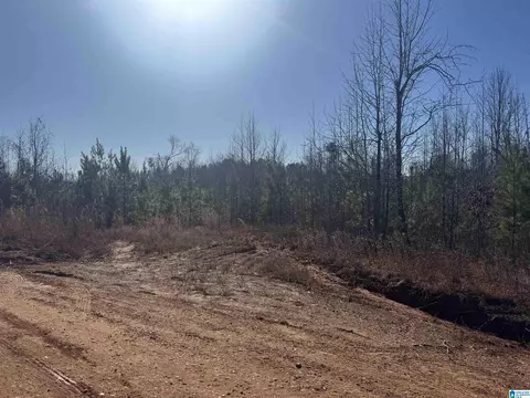 1661 County Road 637 #8 AC, Roanoke, AL 36274