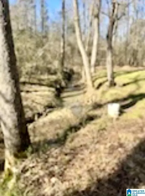 282 Evans Cir, Jasper, AL 35501 photo 21