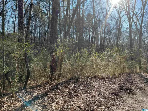 6123 Alexandria Jacksonville Hwy #NONE, Jacksonville, AL 36265