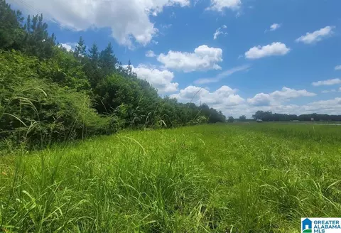 0 Highway 280 #1, Harpersville, AL 35078
