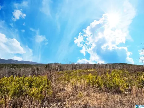 0 Us Highway 278 W #335±ACRES, Piedmont, AL 36272