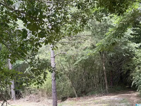 0 Lora Ln #1, Birmingham, AL 35214