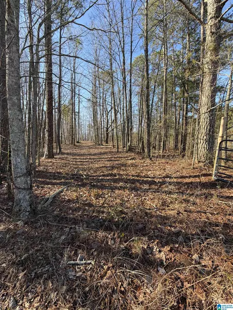 0 Ridge Rd #0, Cragford, AL 36255