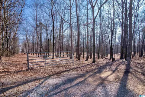 0 Apple Grove Rd #4, Somerville, AL 35670
