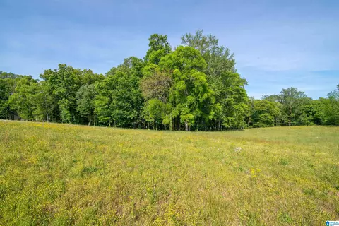 0 Apple Grove Rd #4, Somerville, AL 35670