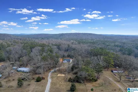Other - 10940 Mudd St, Ohatchee, AL 36271 photo 11 of 11