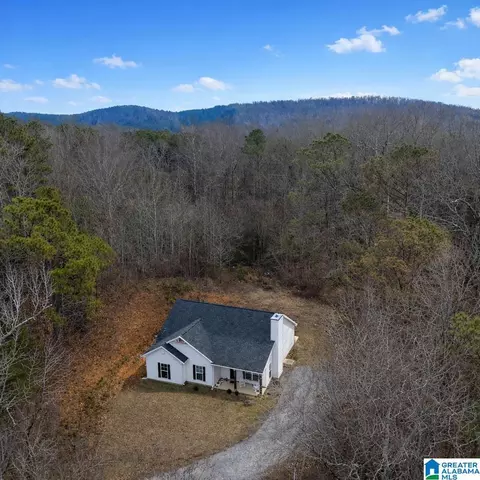 Other - 10940 Mudd St, Ohatchee, AL 36271 photo 9 of 11