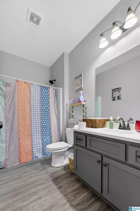 Bath - 10940 Mudd St, Ohatchee, AL 36271 photo 3 of 3