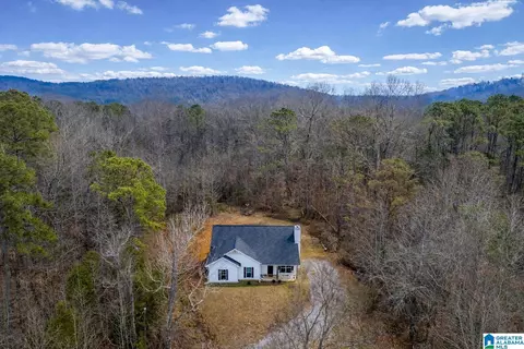 Other - 10940 Mudd St, Ohatchee, AL 36271 photo 1 of 11