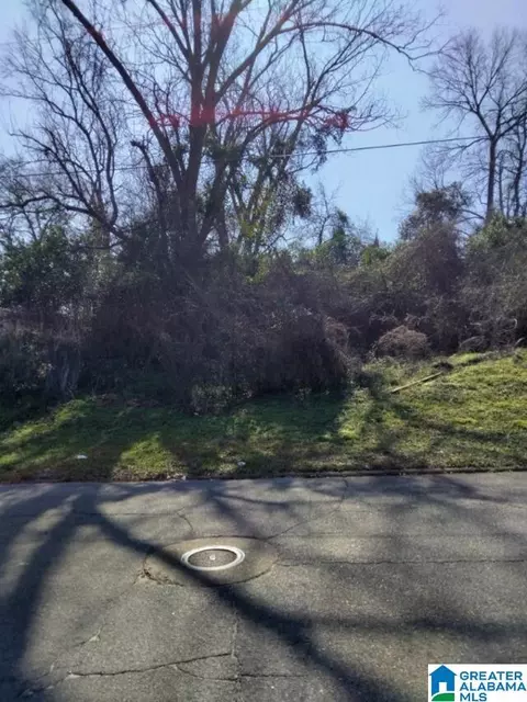 0 Dr Lc Mcmillian Ave #36, Troy, AL 36081