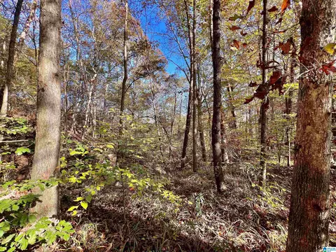 00000 N River Cir #11, Northport, AL 35473