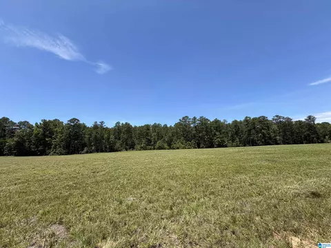lot2 Cedar Springs Dr #2, Jacksonville, AL 36265