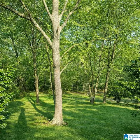 1302 Lay Dam Rd, Clanton, AL 35045 photo 3