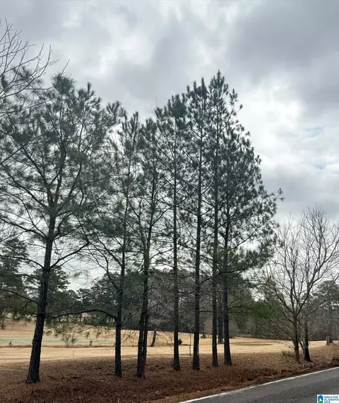 9040 Marsh Mountain Rd #0, Pinson, AL 35126