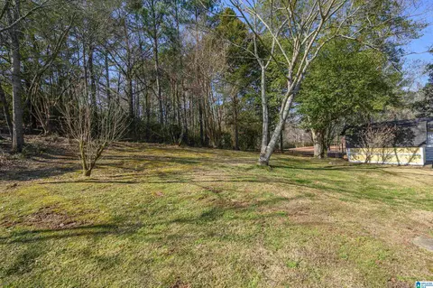 1606 Brookside Rd, Mount Olive, AL 35117 photo 38
