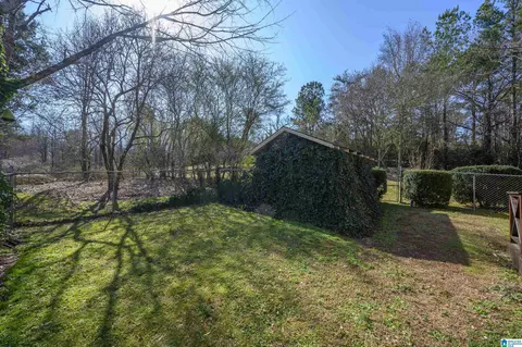 1606 Brookside Rd, Mount Olive, AL 35117 photo 42