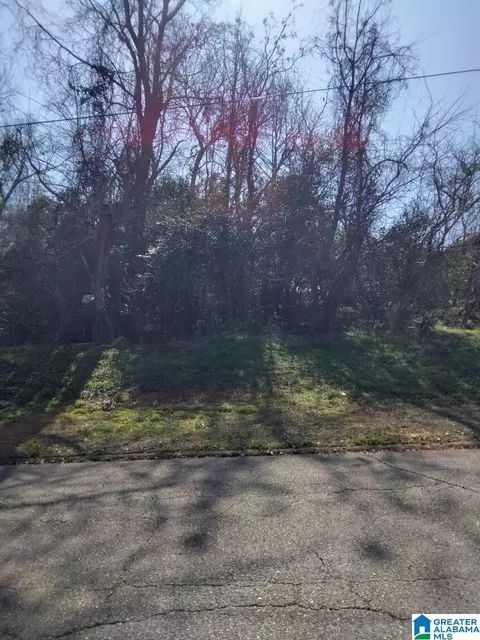 0 Dr Lc Mcmillian Ave #37, Troy, AL 36081