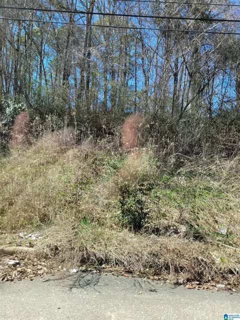 1920 Forestdale Blvd #USE FOR NEW CONSTUCTION, Forestdale, AL 35214