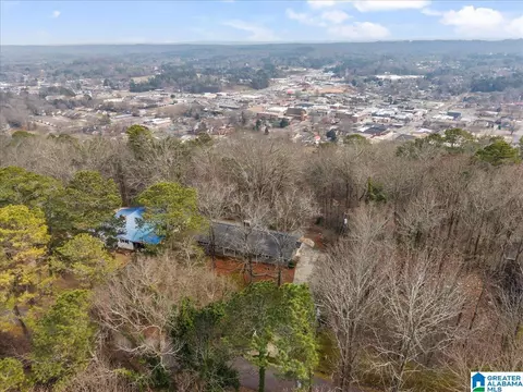 View/Area - 115 Mountain Dr, Oneonta, AL 35121 photo 2 of 5