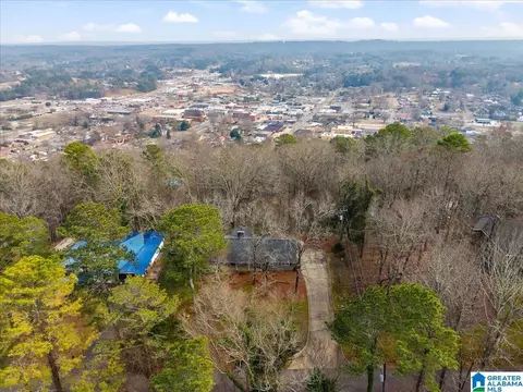 View/Area - 115 Mountain Dr, Oneonta, AL 35121 photo 3 of 5
