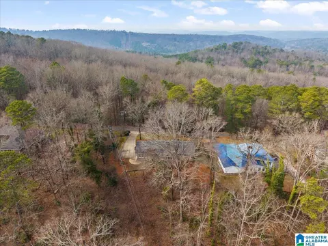 View/Area - 115 Mountain Dr, Oneonta, AL 35121 photo 4 of 5