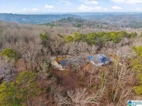 View/Area - 115 Mountain Dr, Oneonta, AL 35121 photo 5 of 5