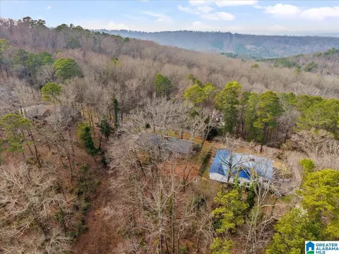 Other - 115 Mountain Dr, Oneonta, AL 35121 photo 3 of 7