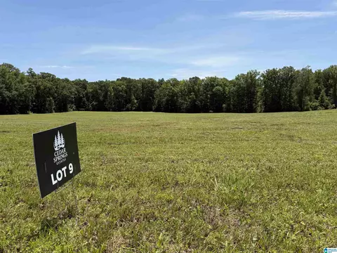 lot9 Cedar Springs Dr #9, Jacksonville, AL 36265