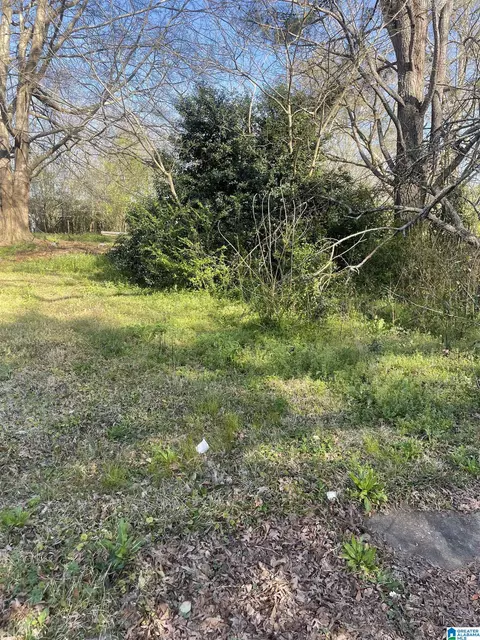 0 West Ave #1, Roanoke, AL 36274