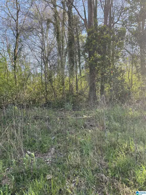 0 Franklin St #4, Roanoke, AL 36274