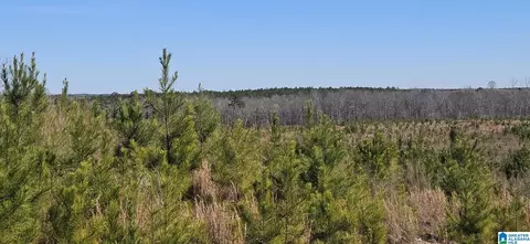 0 Highway 139 #1, Randolph, AL 36792