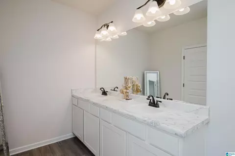 Bath - 5301 Gap Cir, Mount Olive, AL 35117 photo 2 of 3