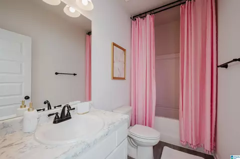 Bath - 5301 Gap Cir, Mount Olive, AL 35117 photo 3 of 3