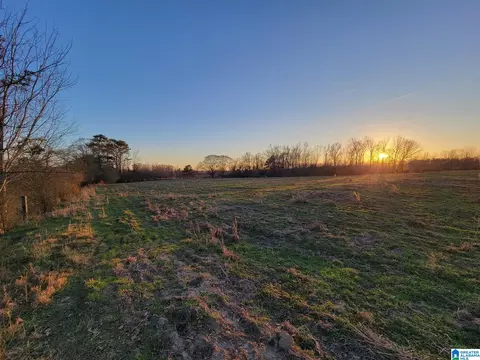 2091 County Road 13 #2091, County, AL 35045