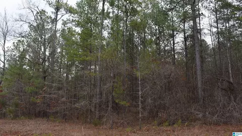 596 Wysteria Ln #6, Sylacauga, AL 35150