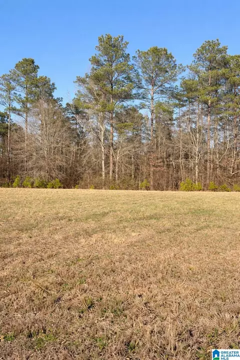 lot1 County Road 25 #1, Jemison, AL 35085